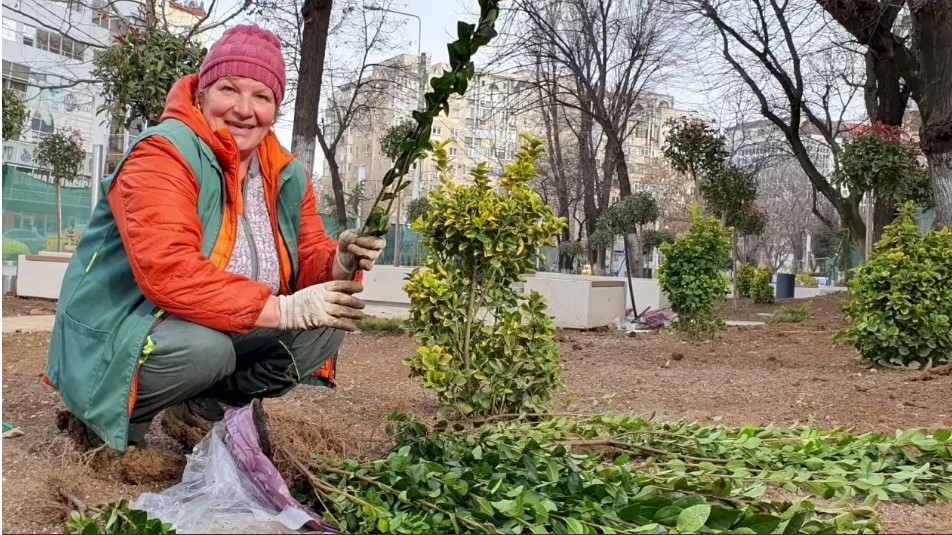 Aspectul zonei Melinești din București după plantarea a sute de copaci s-a schimbat