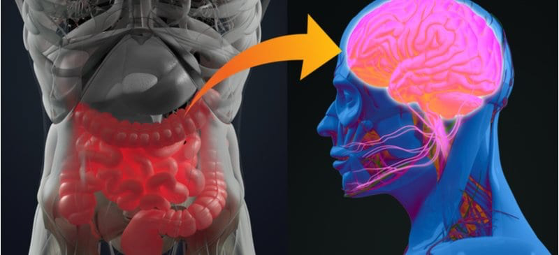 Legătura dintre intestin și creier: ce este și cum te afectează