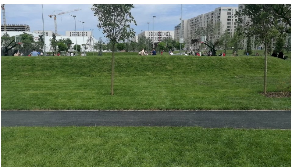 Loc de joacă pentru căței, în Parcul Liniei din Sectorul 6, promisiunea primarului Ciprian Ciucu
